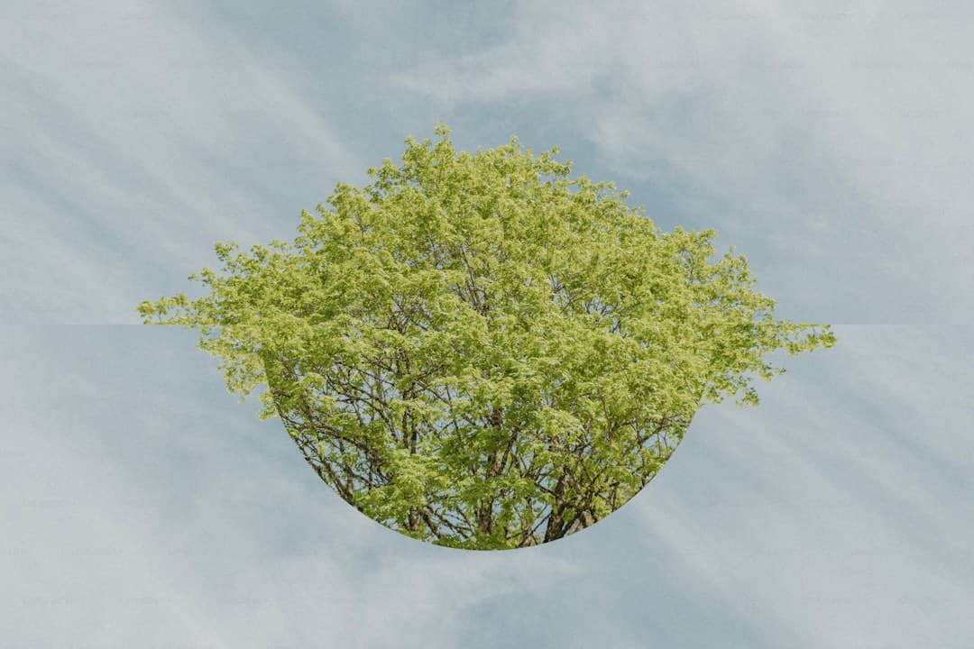 欧盟拟放宽车企碳排放规矩